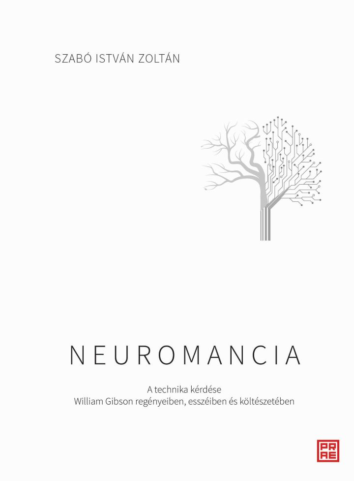 neuromancia
